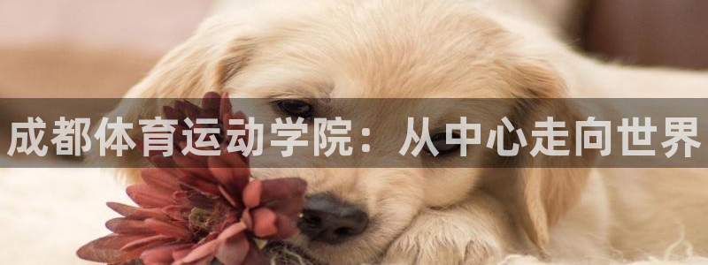 米兰体育官方正版app集团官网首页：成都体育运动学院