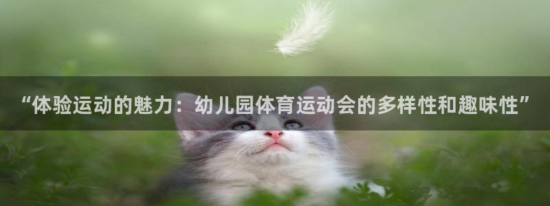 米兰体育官方正版app集团官网网址：“体验运动的魅力