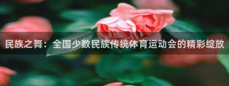 米兰体育官方正版app娱乐：民族之舞：全国少数民族传