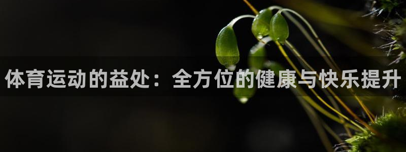 米兰体育官方正版app集团官网网址：体育运动的益处：
