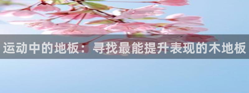 米兰体育官方正版app集团官网网址：运动中的地板：寻
