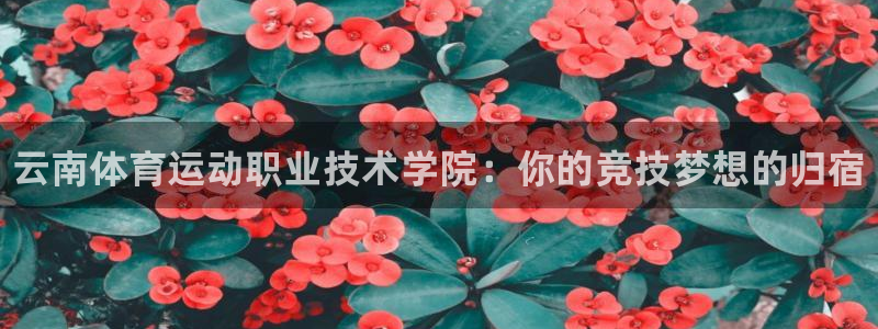米兰体育官方正版app官方：云南体育运动职业技术学院
