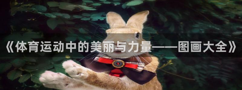 米兰体育官网下载招商电话号码是多少号：《体育运动中的美丽与力