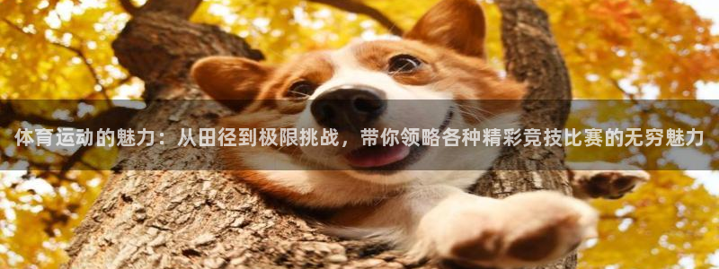 米兰体育官网下载招商电话号码是多少啊：体育运动的魅力：从田径