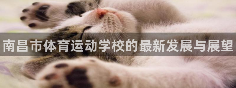 米兰体育官方集团官网：南昌市体育运动学校的最新发展与展望