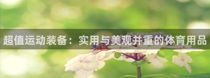 米兰体育官网下载官方客服电话：超值运动装备：实用与美