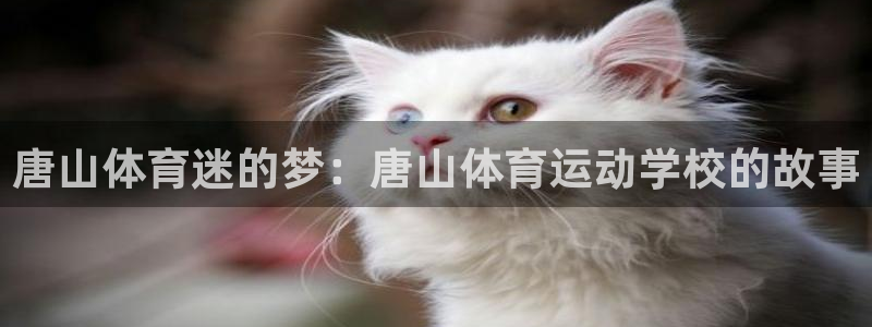 米兰体育官方正版app娱乐是那个系列的台子：唐山体育