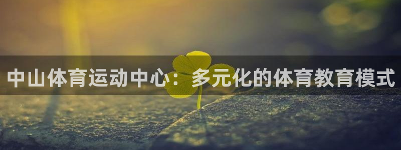 米兰体育网站赞助瓦伦西亚T：中山体育