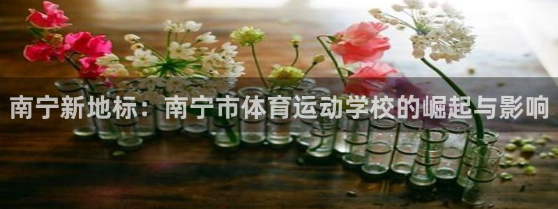 米兰体育报官网：南宁新地标：南宁市体