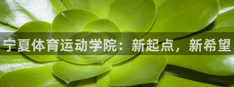 米兰体育能赚钱吗知乎：宁夏体育运动学