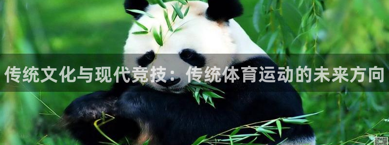 米兰体育官网下载平台注册：传统文化与现代竞技：传统体育运动的