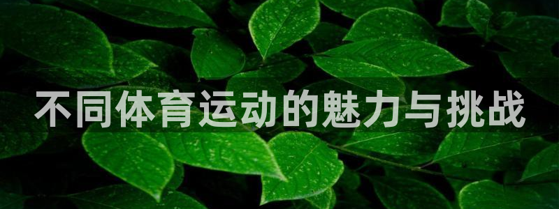 米兰体育官网下载：不同体育运动的魅力与挑战