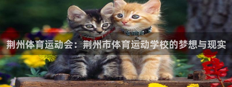 米兰体育官方正版app娱乐平台：荆州体育运动会：荆州市体育运