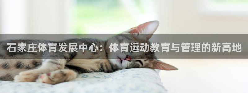 米兰体育官网下载是干嘛的公司：石家庄体育发展中心：体育运动教